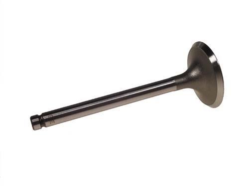 E-Z-GO RXV Intake Valve (Years 2008-Up)