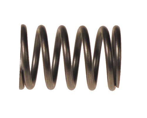 E-Z-GO RXV Valve Spring (Years 2008-Up)